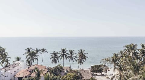 Wake up to stunning ocean vistas and swaying palm trees from this elevated coastal retreat.