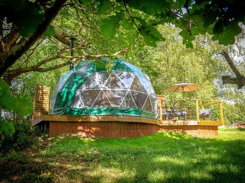 Dome, Garden, Natural Material, Dome, Backyard
