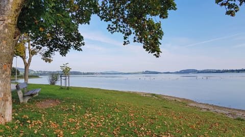 Land view from property