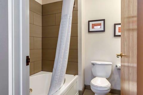 Business Suite, 1 King Bed with Sofa bed, Non Smoking (Upgrade) | Desk, iron/ironing board, free cribs/infant beds, free WiFi