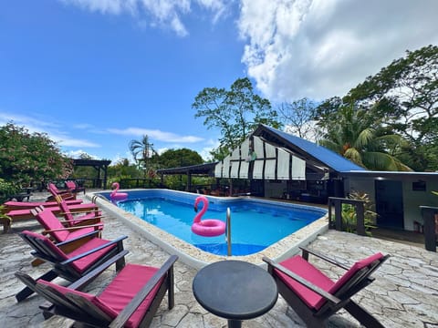 Outdoor pool, sun loungers