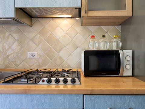 Kitchen Appliance, Kitchen, Countertop, Kitchen Stove, Major Appliance, Stove, Gas Stove, Cooktop, Home Appliance, Interior Design