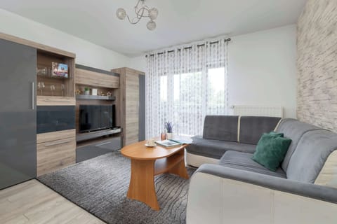 Living room with grey sofa – Comfortable seating in a light-filled room.
