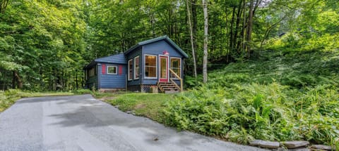 Tree-lined gravel driveway with cabin on the left and road access below