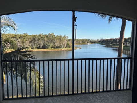 Long lake views (late afternoon)