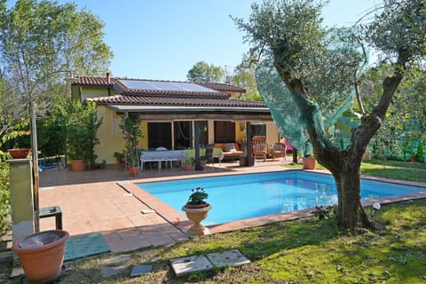 Garden, Outdoor, Pool