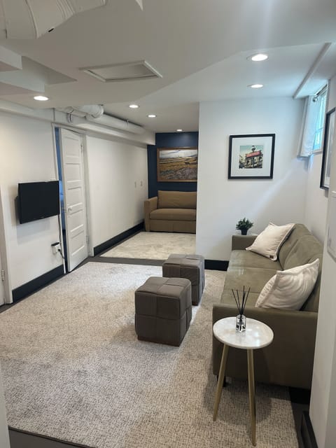 Living room with sofa, Roku TV, Chair with single bed pullout.