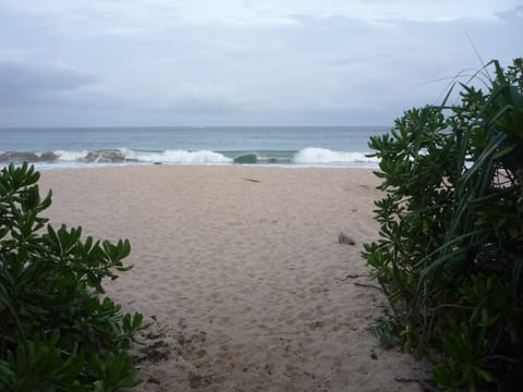 On the beach