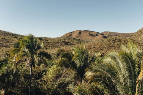 Land view from property