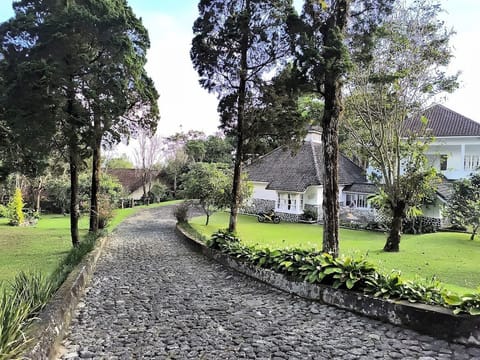 Basic Villa | Garden view