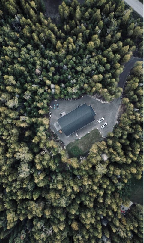 A bird's eye of the beautiful Wanderwood. 
