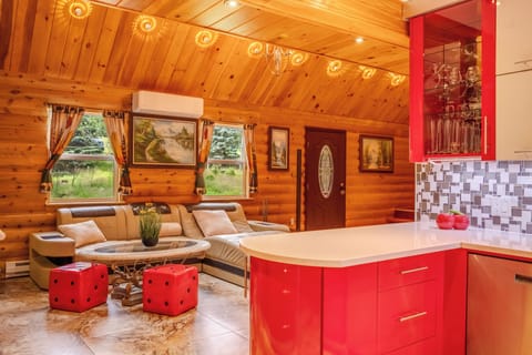 Living room/kitchen - retractable couch queen size
