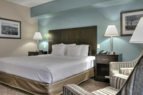 Deluxe Double Room Single Use | Blackout drapes, iron/ironing board, free WiFi