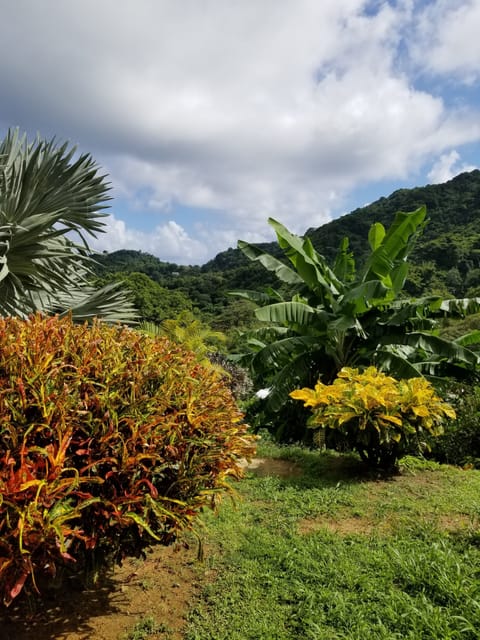 Double Room | Garden view