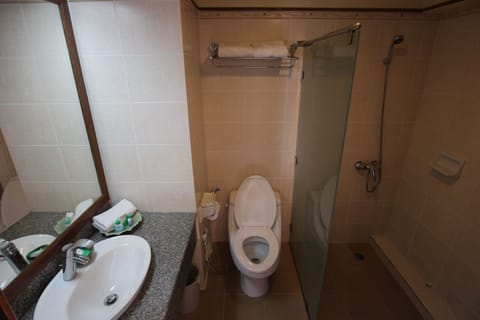 Shower, free toiletries, hair dryer, towels