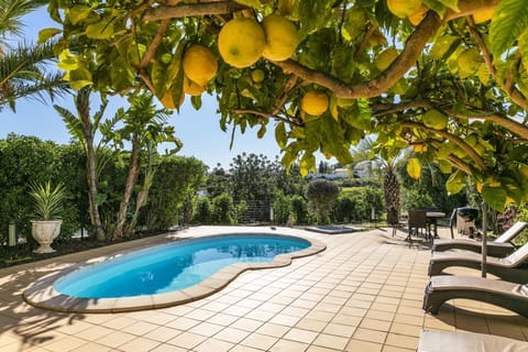 Holiday Home Swimming Pool