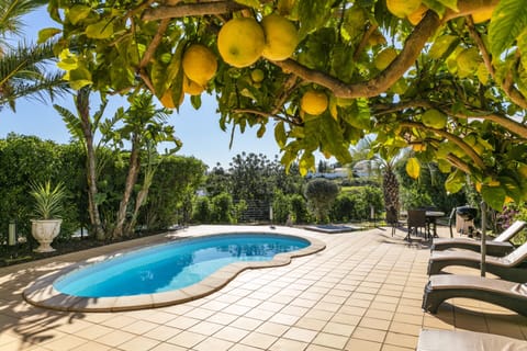 House | Pool | Indoor pool, outdoor pool