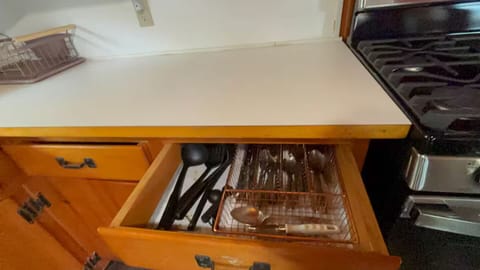 A generous supply of utensils.