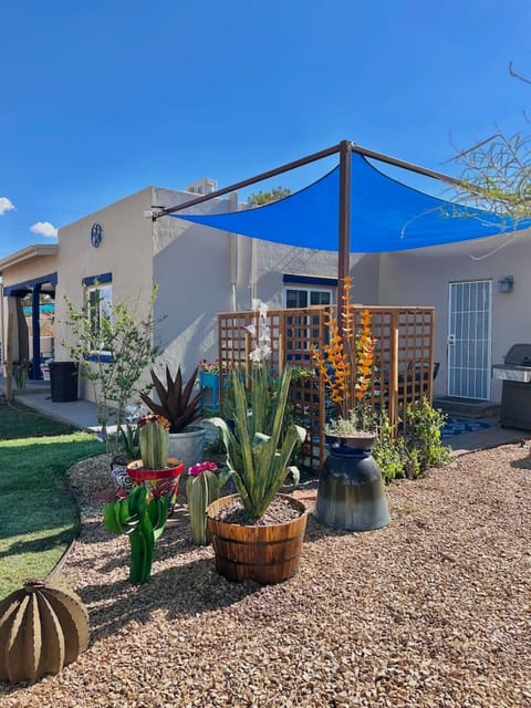 Outside Yard - Seating and Decor