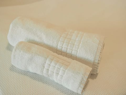 Standard Triple Room | Bathroom amenities | Shower, rainfall showerhead, towels, toilet paper