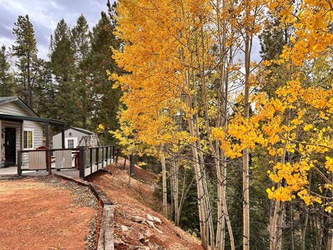 Autumn at Cozybode