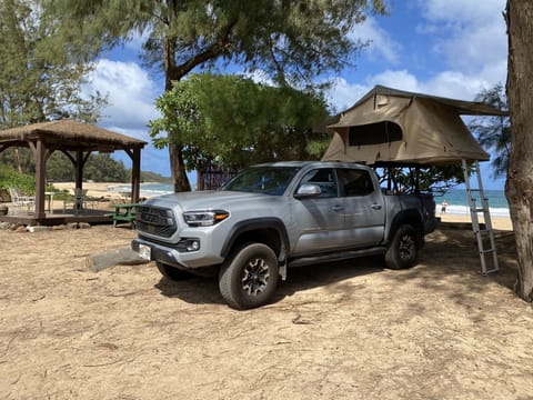 Ocean front view anywhere anytime