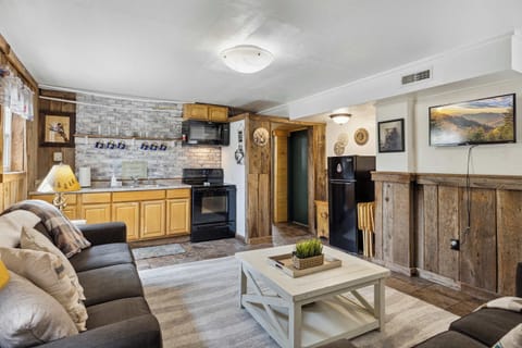 Cozy living room with smart TV and sofa bed