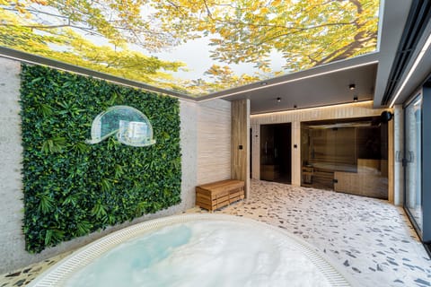 Hot tub, steam room, massages