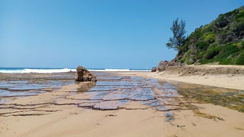 Beach nearby, 4 beach bars
