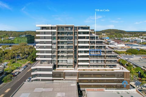 CODA Birds View 5