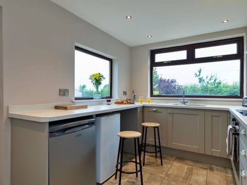 Kitchen, Kitchen Appliance, Countertop, Interior Design, Furniture, Cabinetry, Flooring, Wood, Home Appliance, Major Appliance