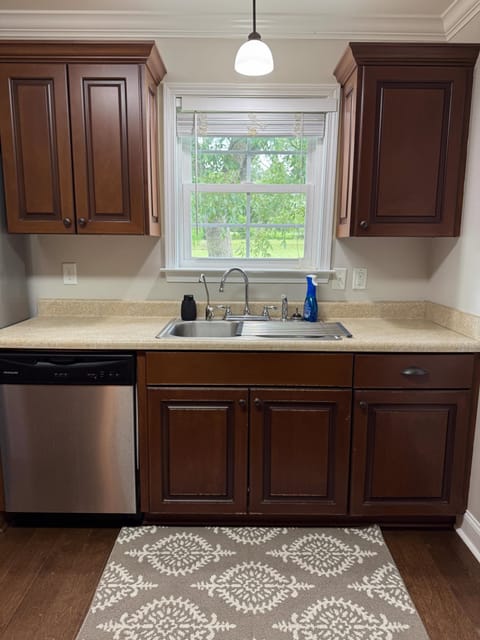 Leesburge Escape kitchen sink