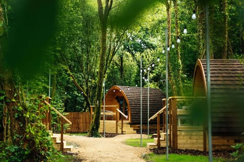 Basic Cabin, Patio, Resort View | Garden view