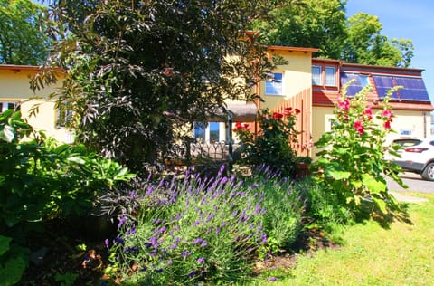 Apartment | Garden