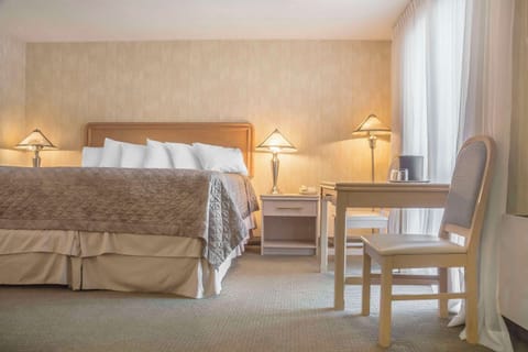 Standard Room, 1 King Bed, Non Smoking | Desk, laptop workspace, blackout drapes, iron/ironing board