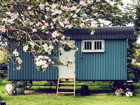 Situated in a private orchard...