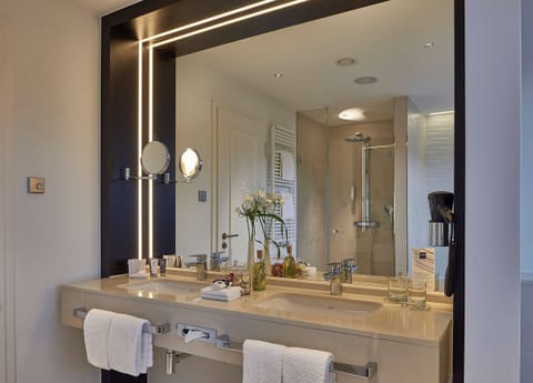 Deluxe Suite | Bathroom | Free toiletries, hair dryer, towels, soap