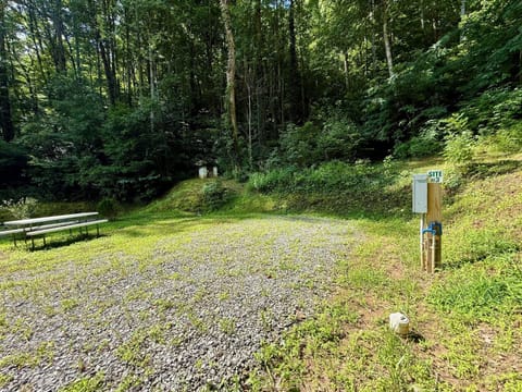 Site 3 at The Cove — 50-amp power, water & sewer hookups, and your own picnic table. Perfect for RVs up to 30 ft.