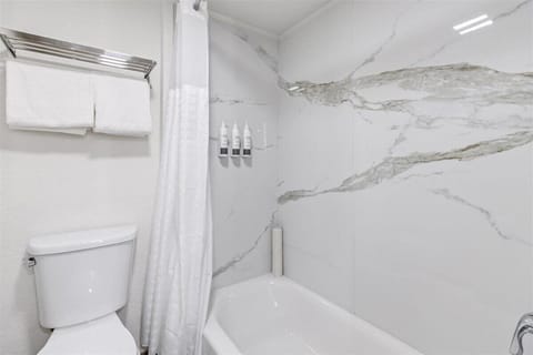 Hair dryer, towels, soap, shampoo