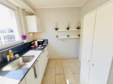 Stovetop, dishwasher, cookware/dishes/utensils, paper towels