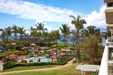 Tropical Bliss: Palm Trees, Pools, and Paradise Await in Hawaii. HKK-343