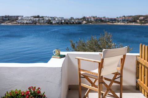 Terrace view