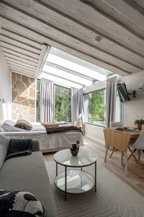 Superior Studio, Lake View | Living area | 40-inch flat-screen TV with cable channels