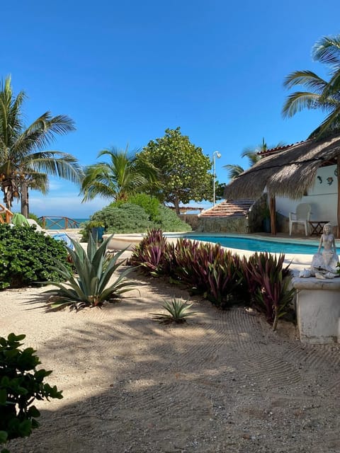 Back garden oasis with pool and ocean view.
