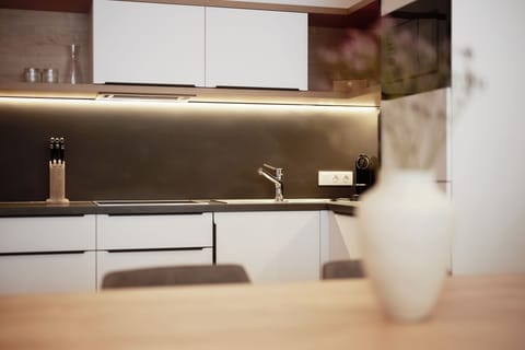 Alpenstolz 3.04 | Private kitchen | Fridge, microwave, oven, stovetop