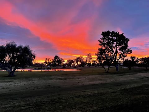Beautiful sunrise