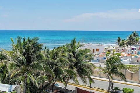 Shared rooftop terrace with ocean views and palms