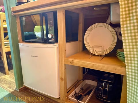 Mini Fridge and microwave