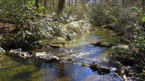 So refreshing sitting by the creek