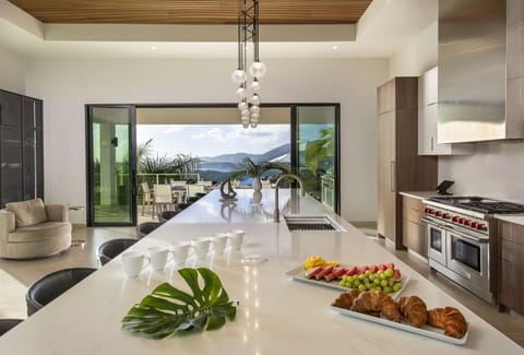 The kitchen is perfect for gatherings with Wolf and Sub-zero appliances 